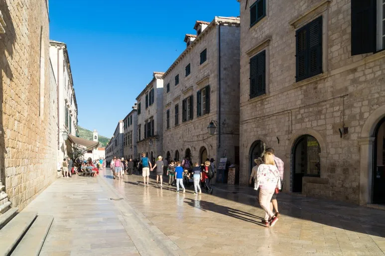 kky-0763.jpg?type=w773