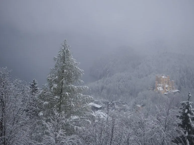 P4181277.JPG?type=w773