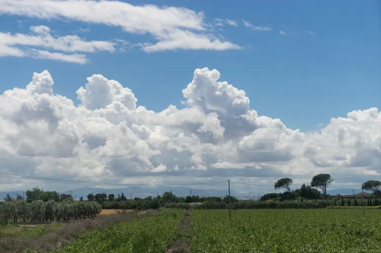 kky-1520.jpg?type=w773