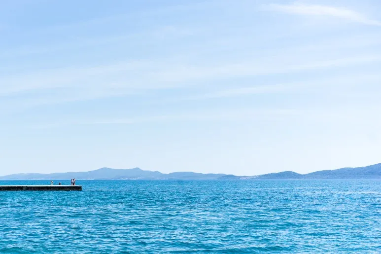 kky-9872.jpg?type=w773