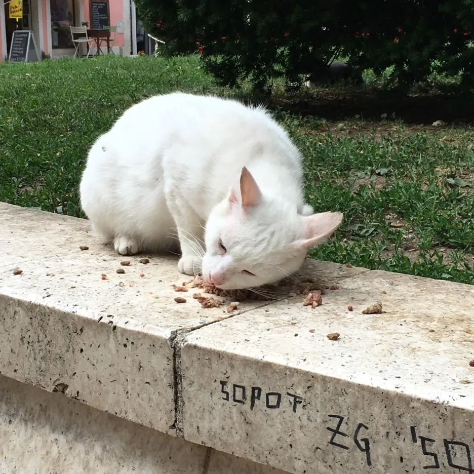 IMG_2733.JPG?type=w1