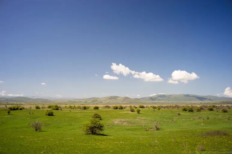 kky-9818.jpg?type=w773