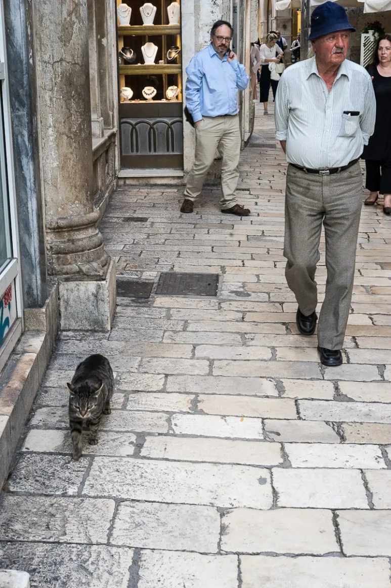 kky-0469.jpg?type=w773