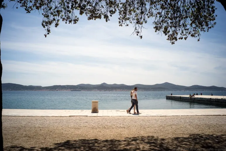 kky-9883.jpg?type=w773