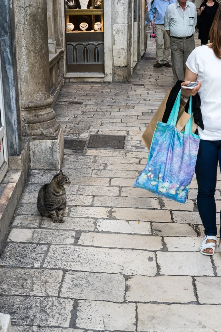 kky-0467.jpg?type=w773