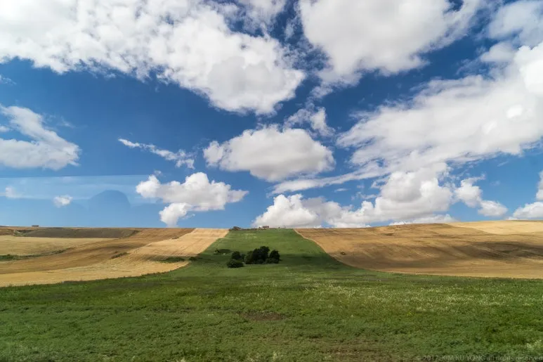 kky-1526.jpg?type=w773