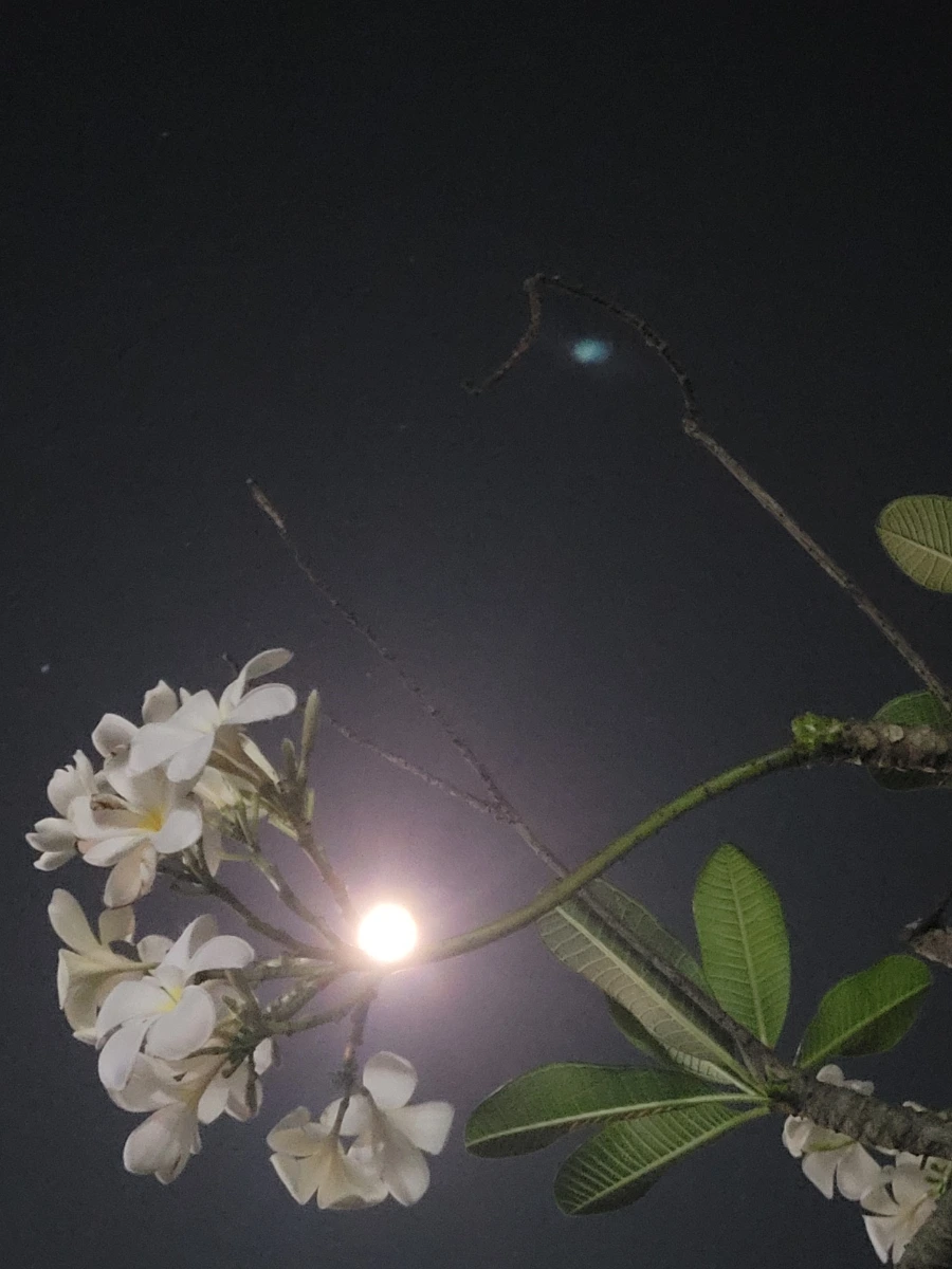 20240221%EF%BC%BF193100.jpg?type=w1