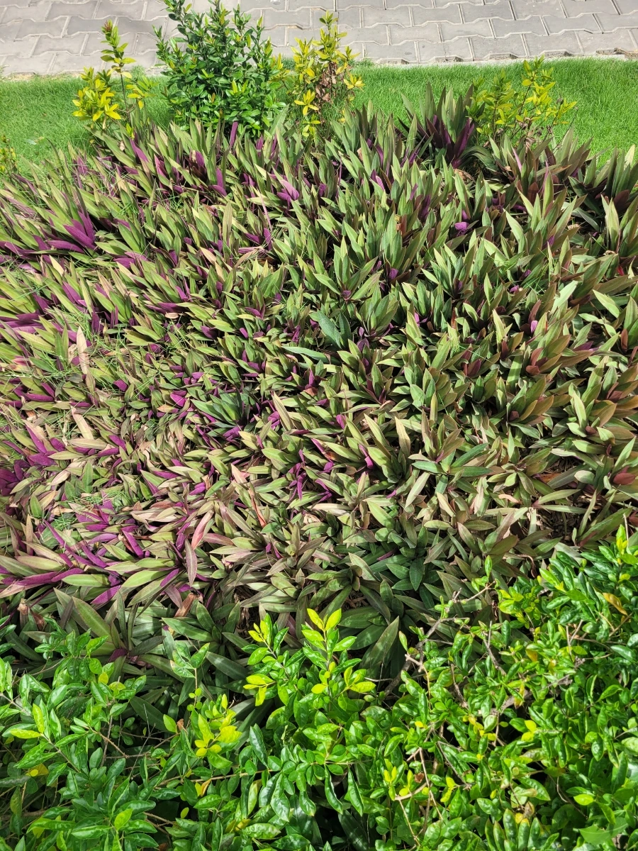 900%EF%BC%BF20250225%EF%BC%BF094917.jpg?type=w966