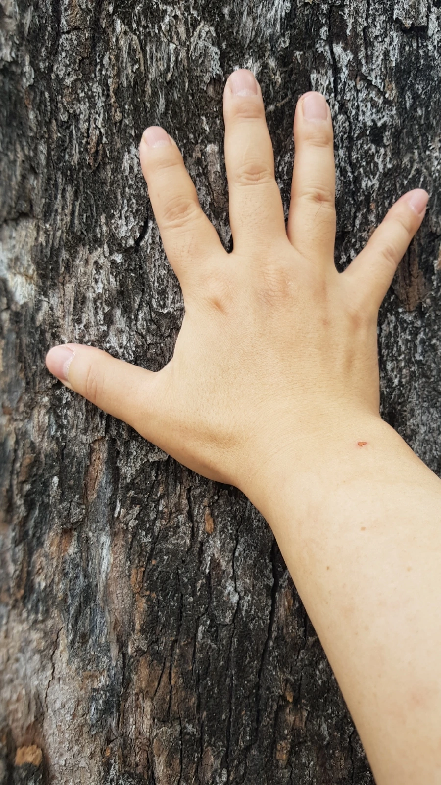 20230219%EF%BC%BF104223.jpg?type=w966