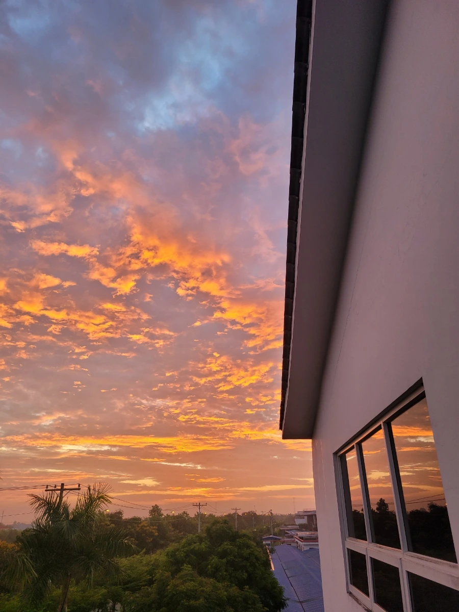 20230523%EF%BC%BF052727.jpg?type=w966