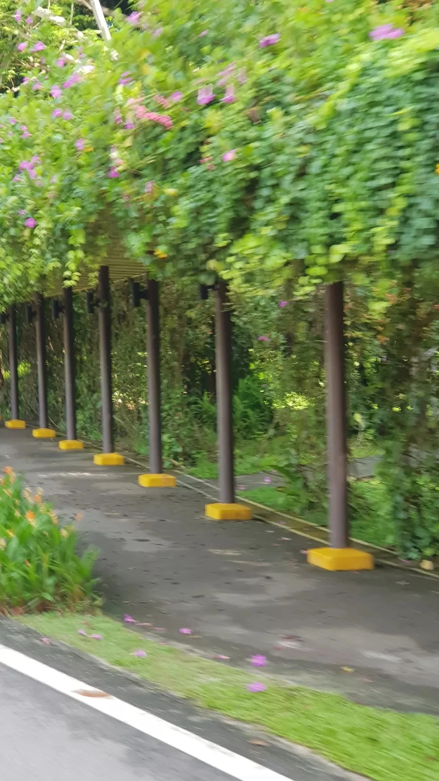 20221106%EF%BC%BF095137.jpg?type=w966