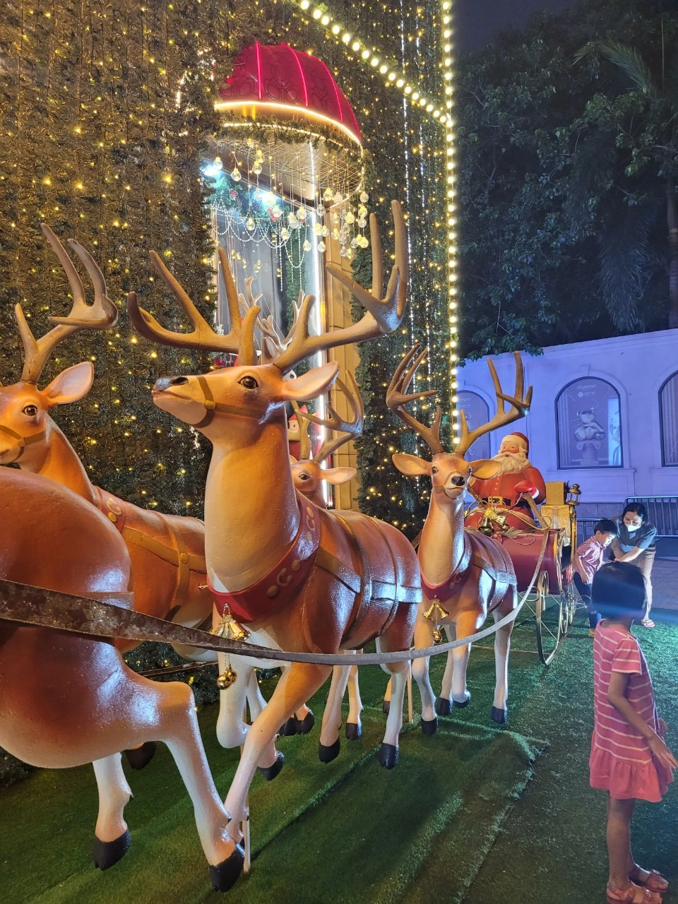 z4937769847036_d34fc9090fdec7ab9ba0d057bf3600da.jpg?type=w966