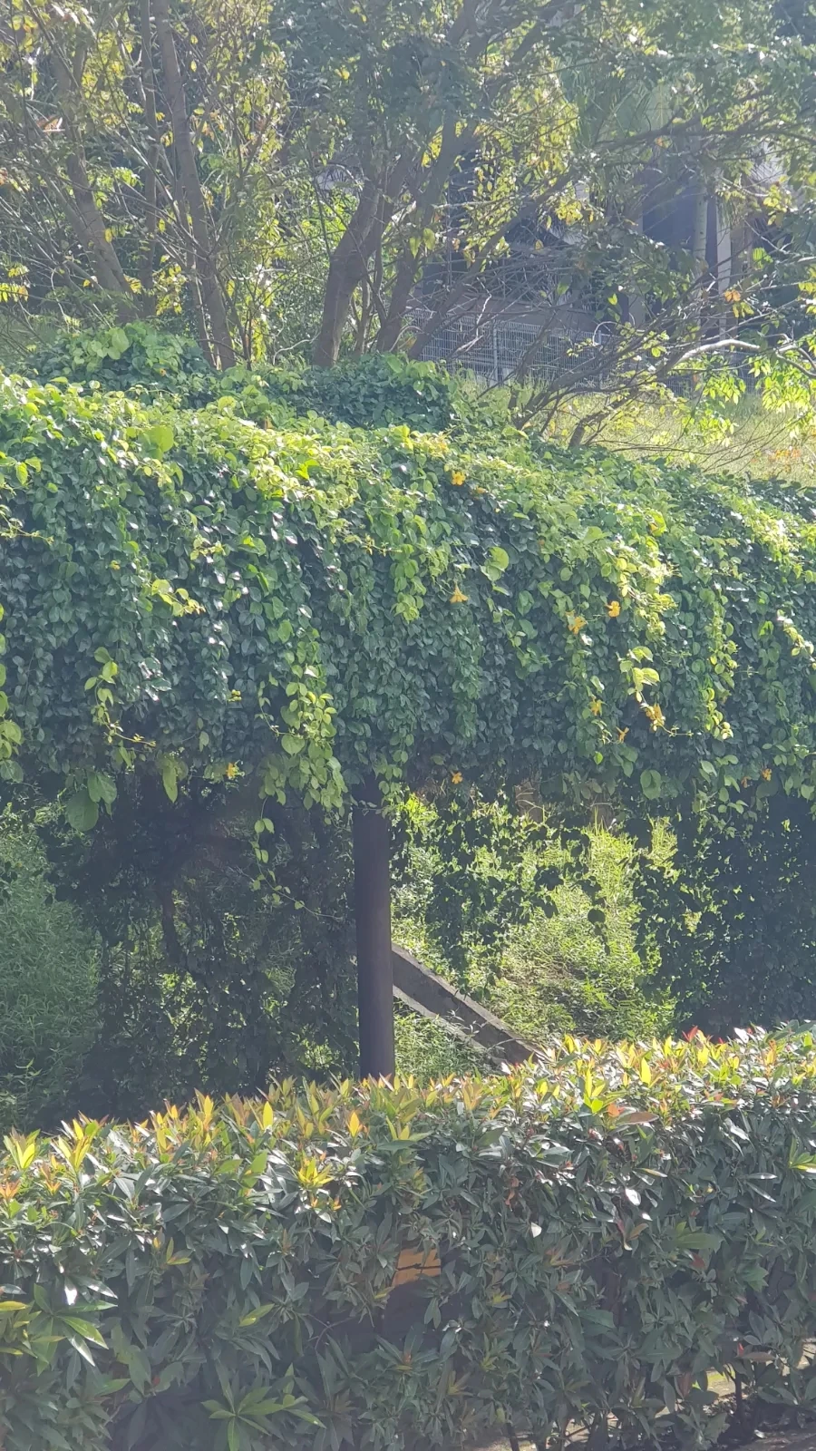 20221106%EF%BC%BF094753.jpg?type=w966