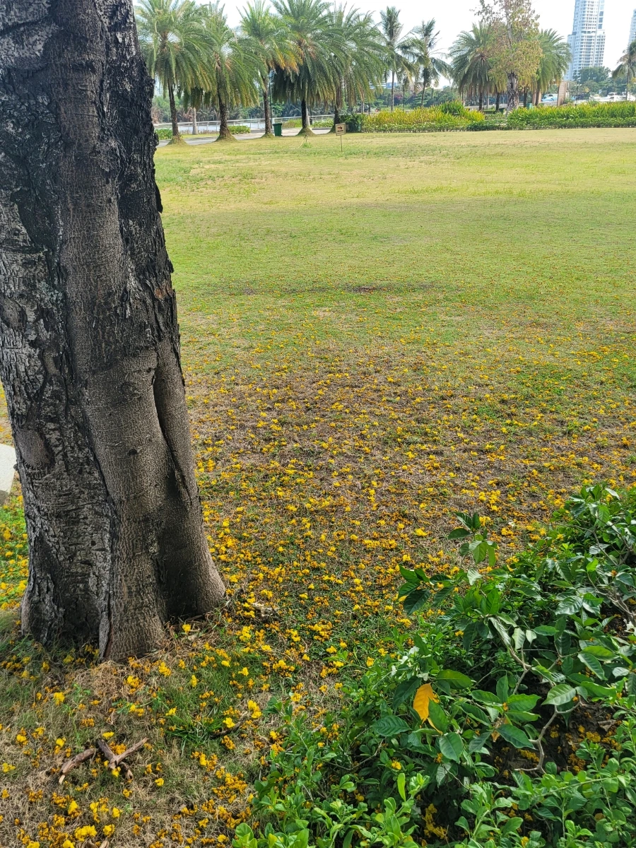 900%EF%BC%BF20250316%EF%BC%BF154504.jpg?type=w966