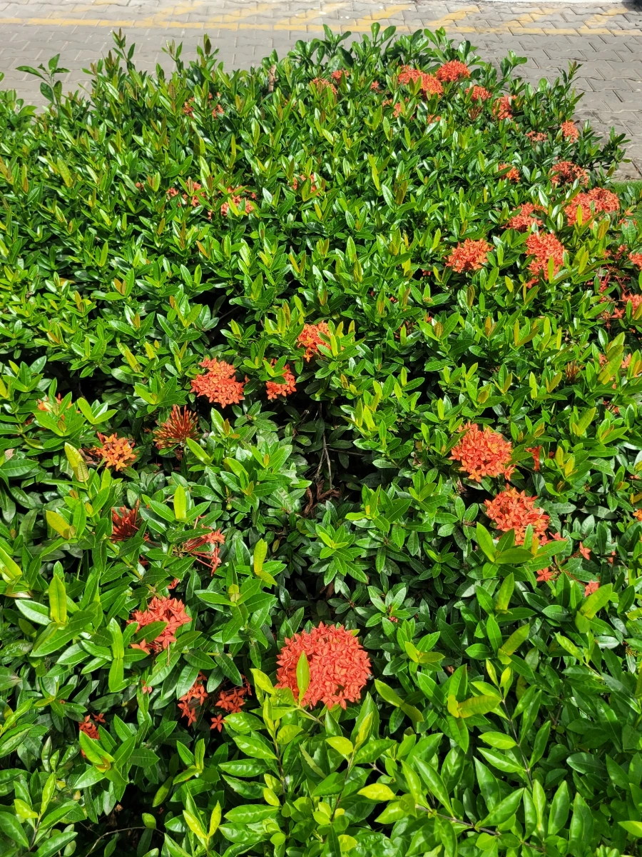 900%EF%BC%BF20250225%EF%BC%BF094938.jpg?type=w966