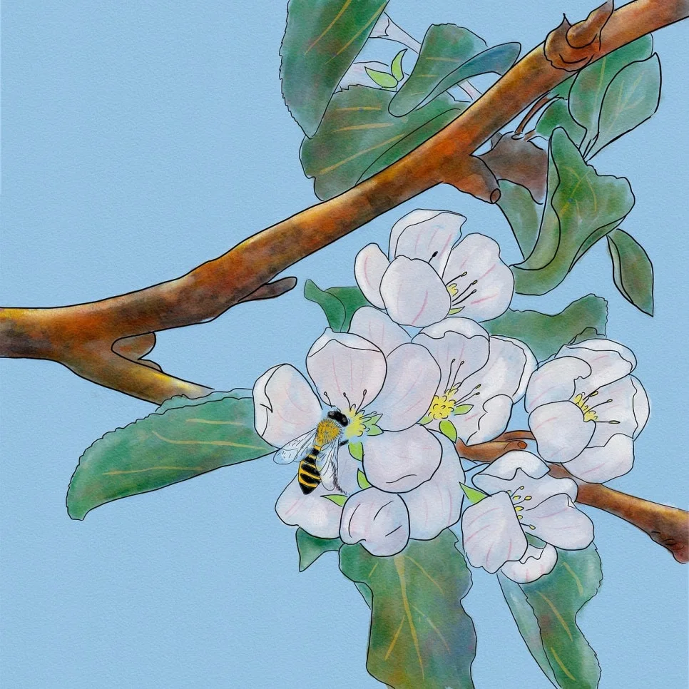 %EA%BD%83%EC%95%84%ED%8A%B83.jpg?type=w966