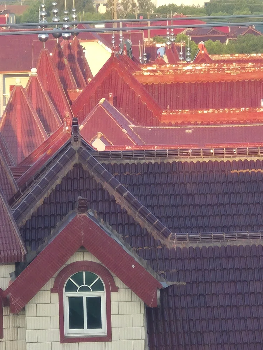 900%EF%BC%BF20250805%EF%BC%BF055523.jpg?type=w966