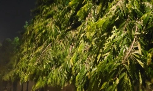 ?src=%22https%3A%2F%2Fblogthumb.pstatic.net%2FMjAyMzA2MTdfMjgz%2FMDAxNjg2OTYwNjI5MjYy.lWjpPCMVE-MPiWOG4TpxMkVBjsBOmkWmrmbdnBrQ9JAg.f-6iHlZk38-yJ_qT70dT76hcGtvlESlsBLsAZKMNwjgg.JPEG.seolhon%2F20230616%25A3%25DF190048.jpg%3Ftype%3Dw2%22&type=ff500_300