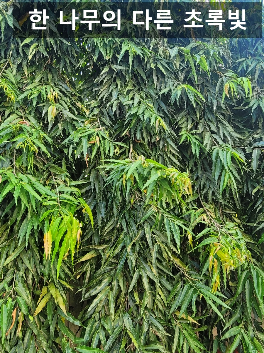 SE-78907c2f-d915-11ef-bfc2-6dc4b78f11ce.jpg?type=w966