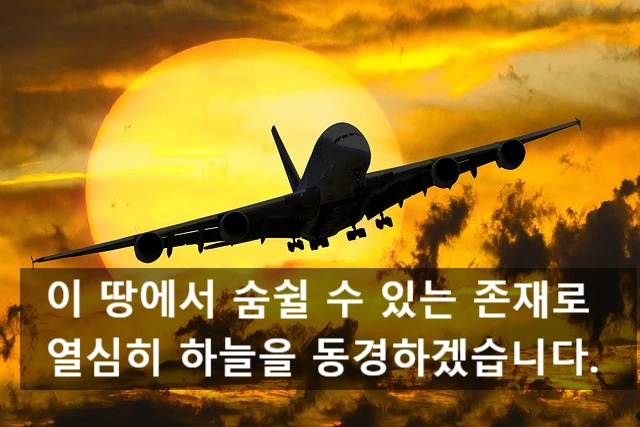 SE-5e240cf8-4907-4bd4-8ff4-a413b3351544.jpg?type=w966