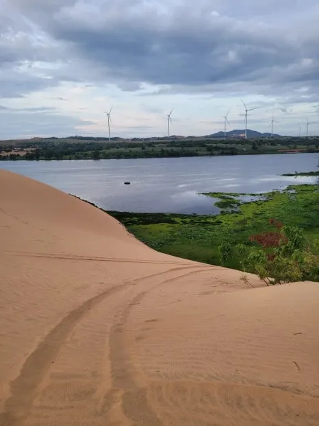 20240915%EF%BC%BF054426.jpg?type=w466