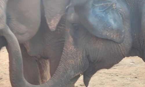 ?src=%22https%3A%2F%2Fblogthumb.pstatic.net%2FMjAyNTA0MjFfMjI4%2FMDAxNzQ1MjE3NTkyMDcz.DjZmdrJzNQfDpB2BAyu9sYp2gTcsYfbnZ86jltPyAa8g.mbWUgeCusbZOou4njxkNr266-B2kVI_haK-O_oGr2e0g.JPEG%2F900%25A3%25DF20250420%25A3%25DF165637.jpg%3Ftype%3Dw2%22&type=ff500_300