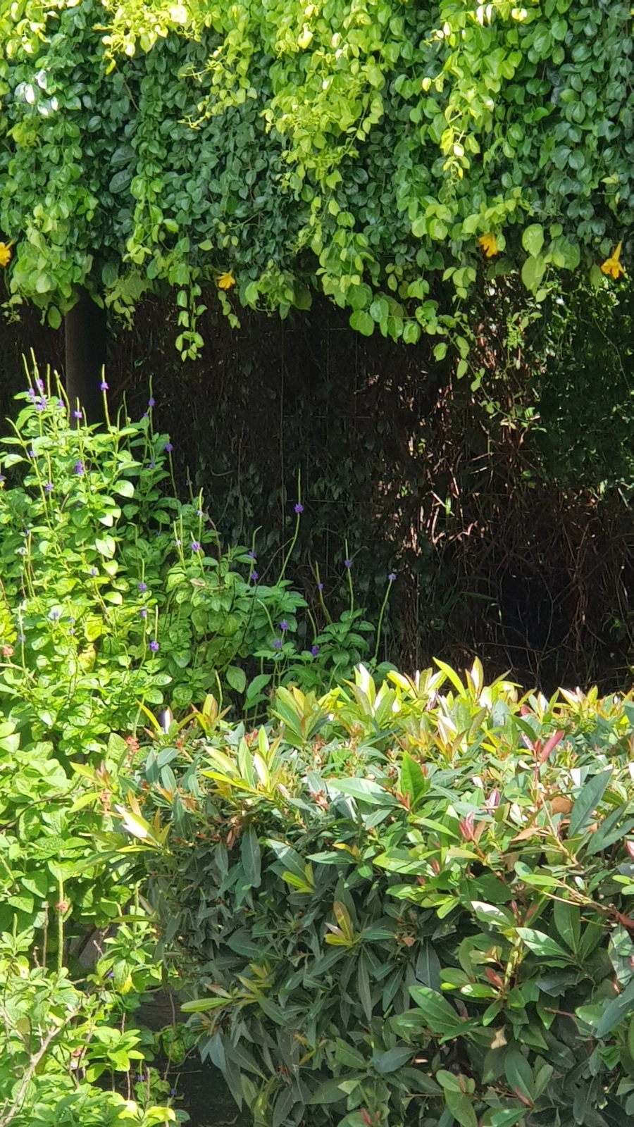 20221106%EF%BC%BF094735.jpg?type=w966