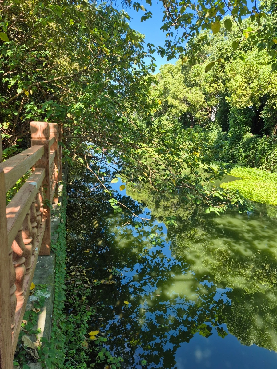 900%EF%BC%BF20250828%EF%BC%BF085040.jpg?type=w966