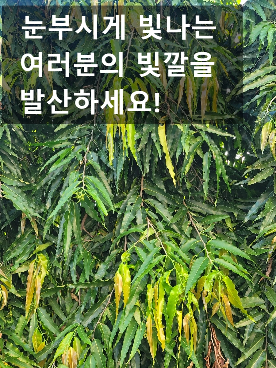 SE-80408fca-d915-11ef-bfc2-b3784c004aea.jpg?type=w966