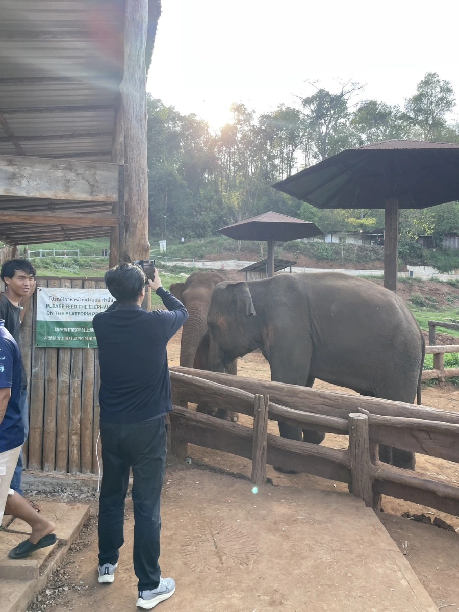 900%EF%BC%BF1745217359872.jpg?type=w966