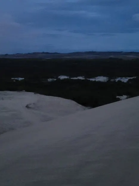 20240915%EF%BC%BF051143.jpg?type=w466