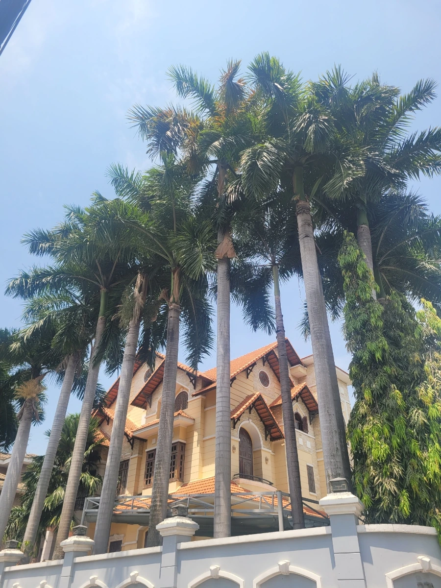 900%EF%BC%BF20250407%EF%BC%BF125537.jpg?type=w966