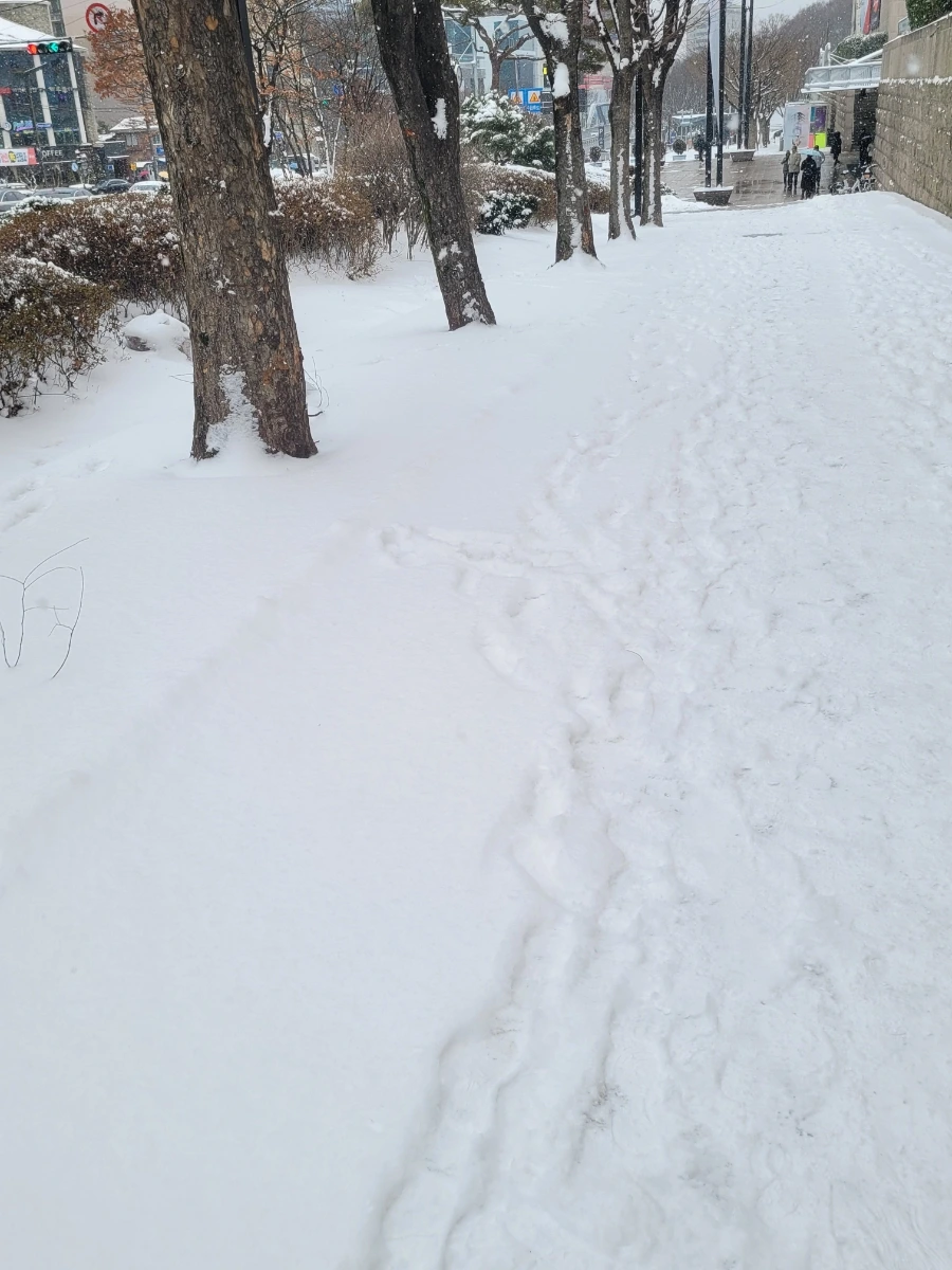 900%EF%BC%BF20250128%EF%BC%BF111839.jpg?type=w966