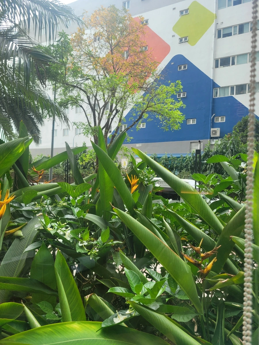 900%EF%BC%BF20250302%EF%BC%BF105753.jpg?type=w966