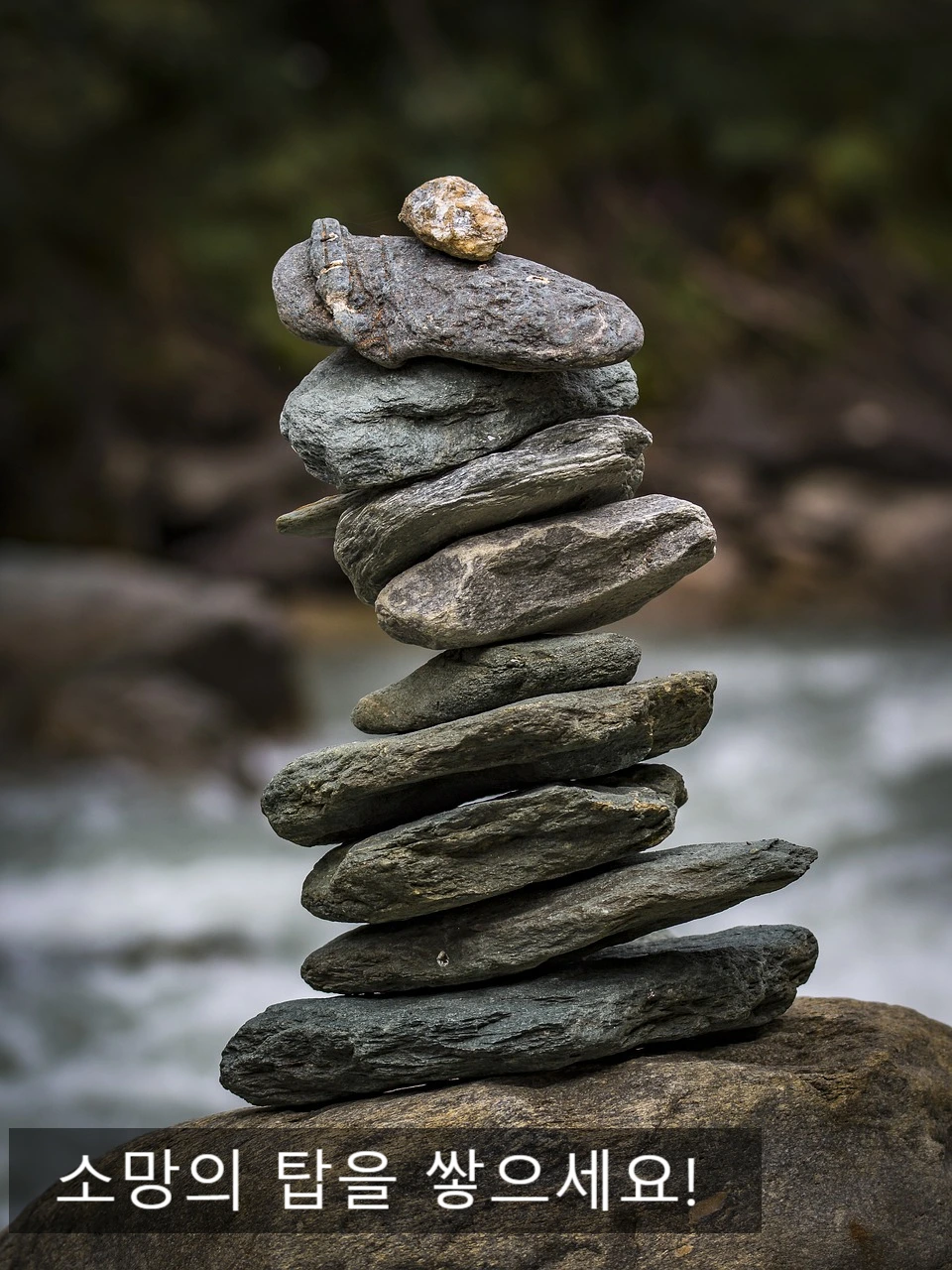 SE-7edc7807-cc03-4294-a782-6e0eb083d394.jpg?type=w966