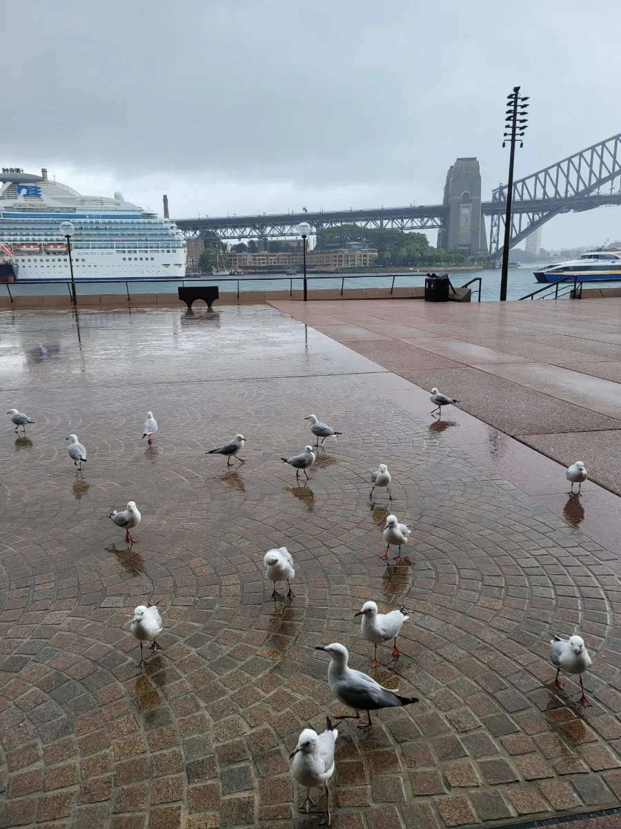 20240430%EF%BC%BF100640.jpg?type=w966