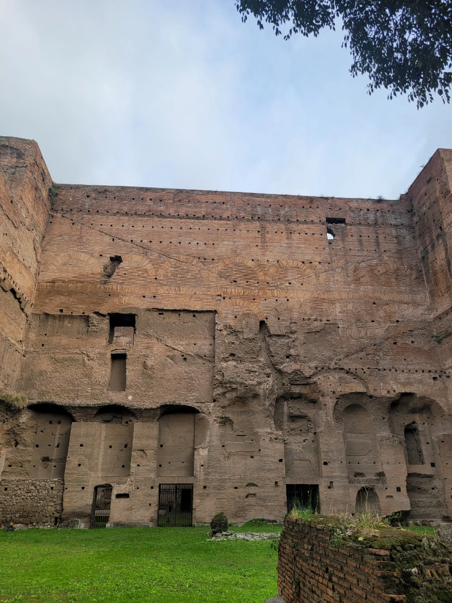 20241018%EF%BC%BF162435.jpg?type=w966