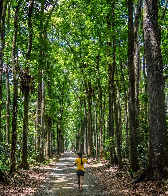 people-2602939_640.jpg?type=w966