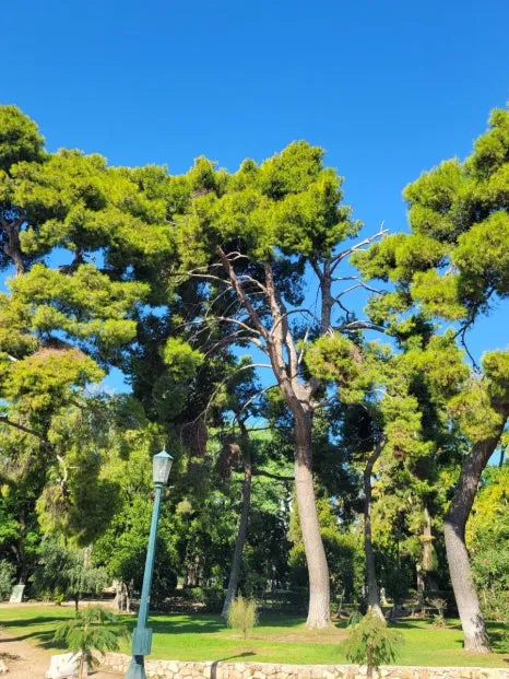 20241016%EF%BC%BF105552.jpg?type=w466