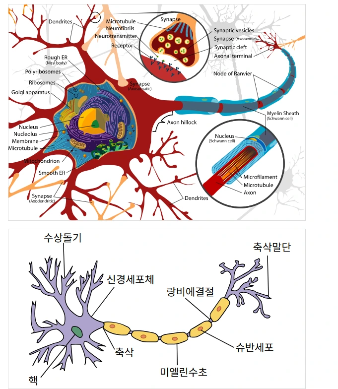 %EB%89%B4%EB%9F%B0.png?type=w966