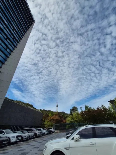 900%EF%BC%BF20251024%EF%BC%BF114231.jpg?type=w466