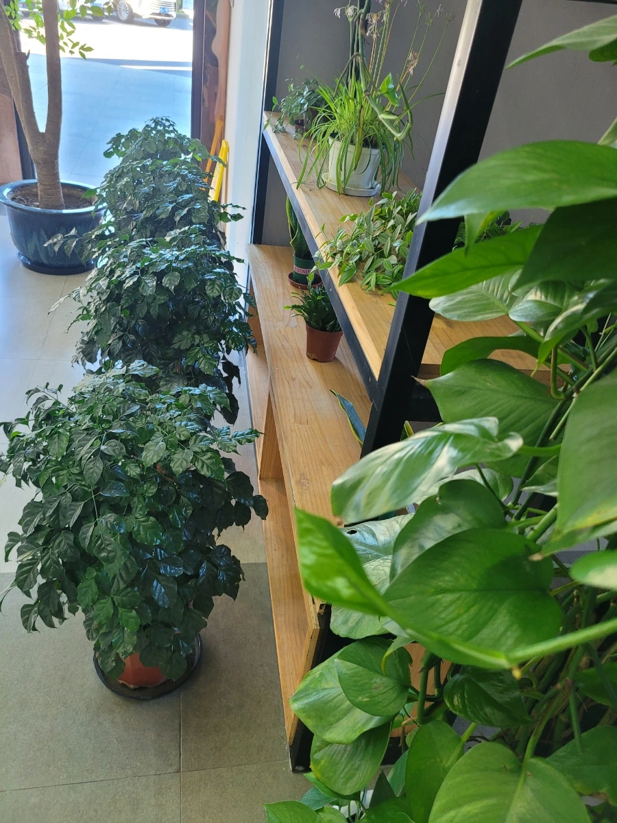 20240730%EF%BC%BF064113.jpg?type=w966