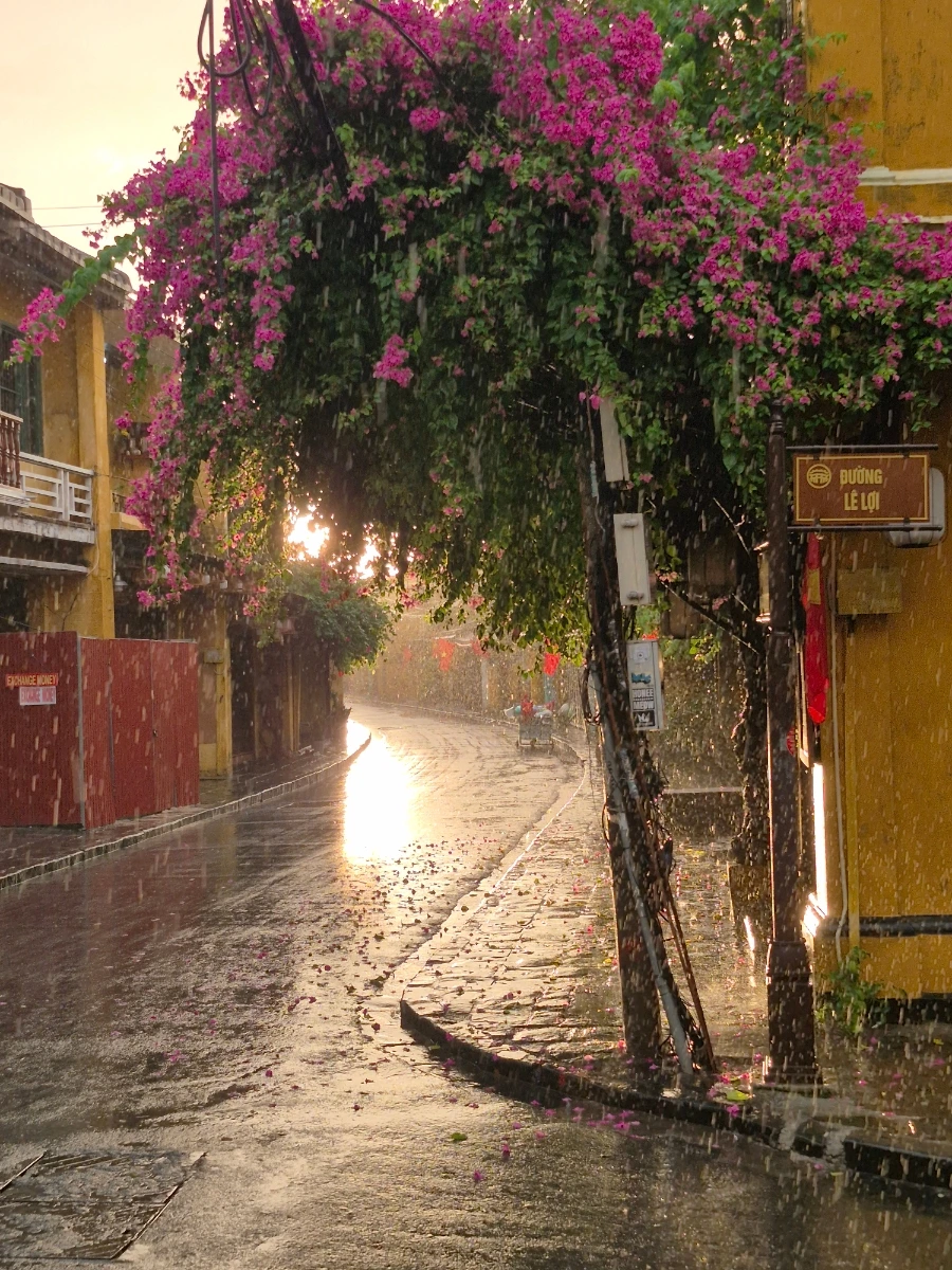 900%EF%BC%BF20250831%EF%BC%BF055430.jpg?type=w966