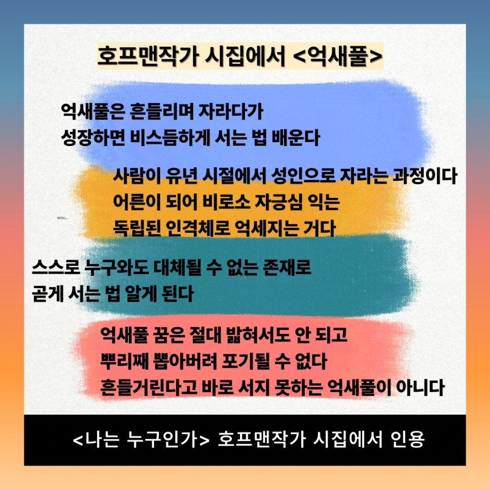 %ED%98%B8%ED%94%84%EB%A7%A8%EC%9E%91%EA%B0%80_%EC%8B%9C%EC%A7%91%EC%97%90%EC%84%9C_%EC%96%B5%EC%83%88%ED%92%80.png?type=w966