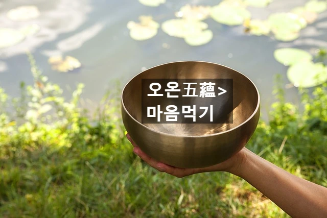 SE-a818fc7d-d906-490c-8b1f-f8d1ccad9dc8.jpg?type=w966