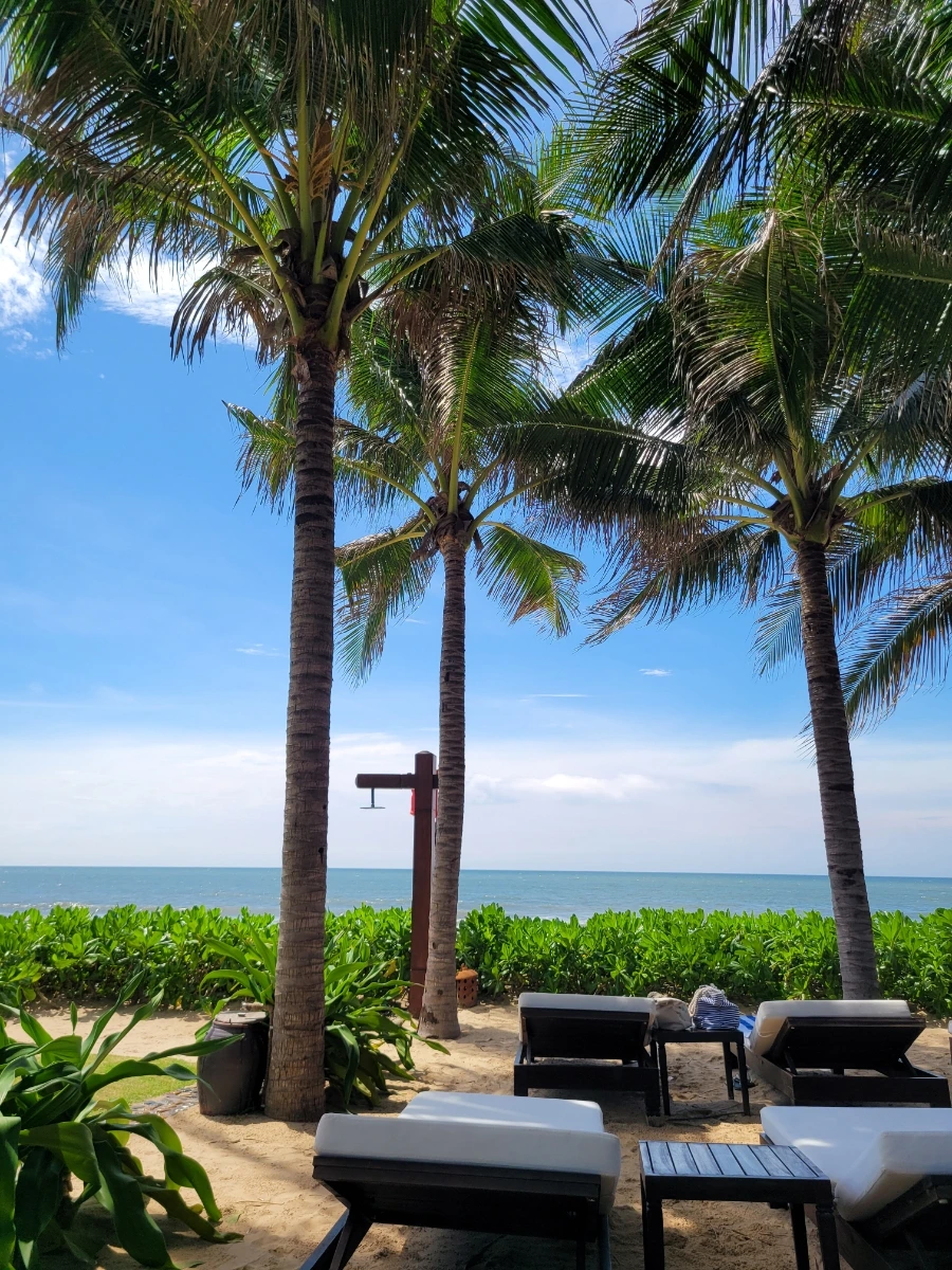 20240915%EF%BC%BF095239.jpg?type=w966