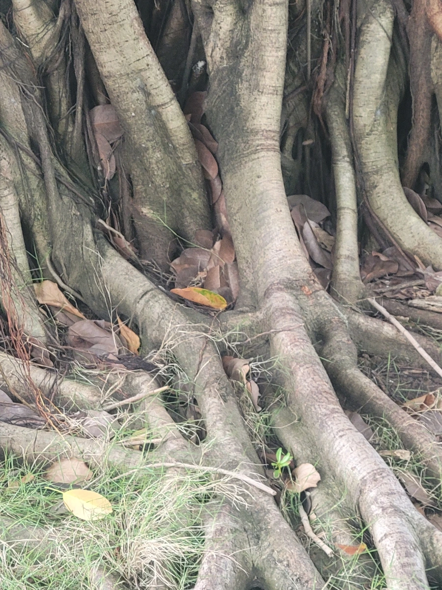 20240728%EF%BC%BF152911.jpg?type=w966