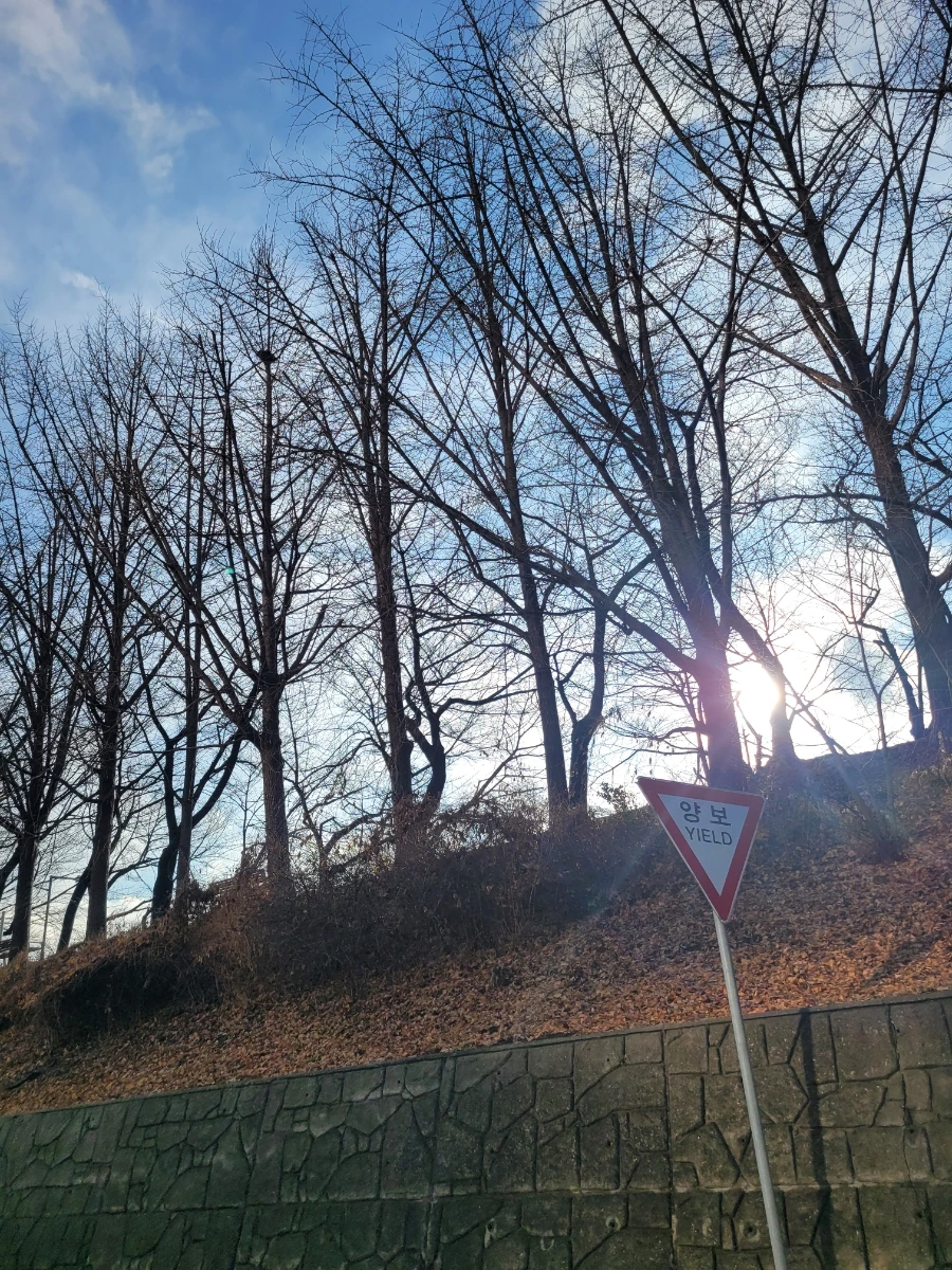 20240215%EF%BC%BF161622.jpg?type=w966