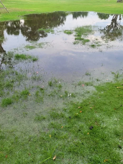 20240804%EF%BC%BF171701.jpg?type=w466