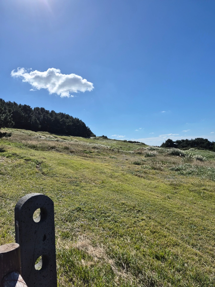 900%EF%BC%BF20251028%EF%BC%BF120527.jpg?type=w966